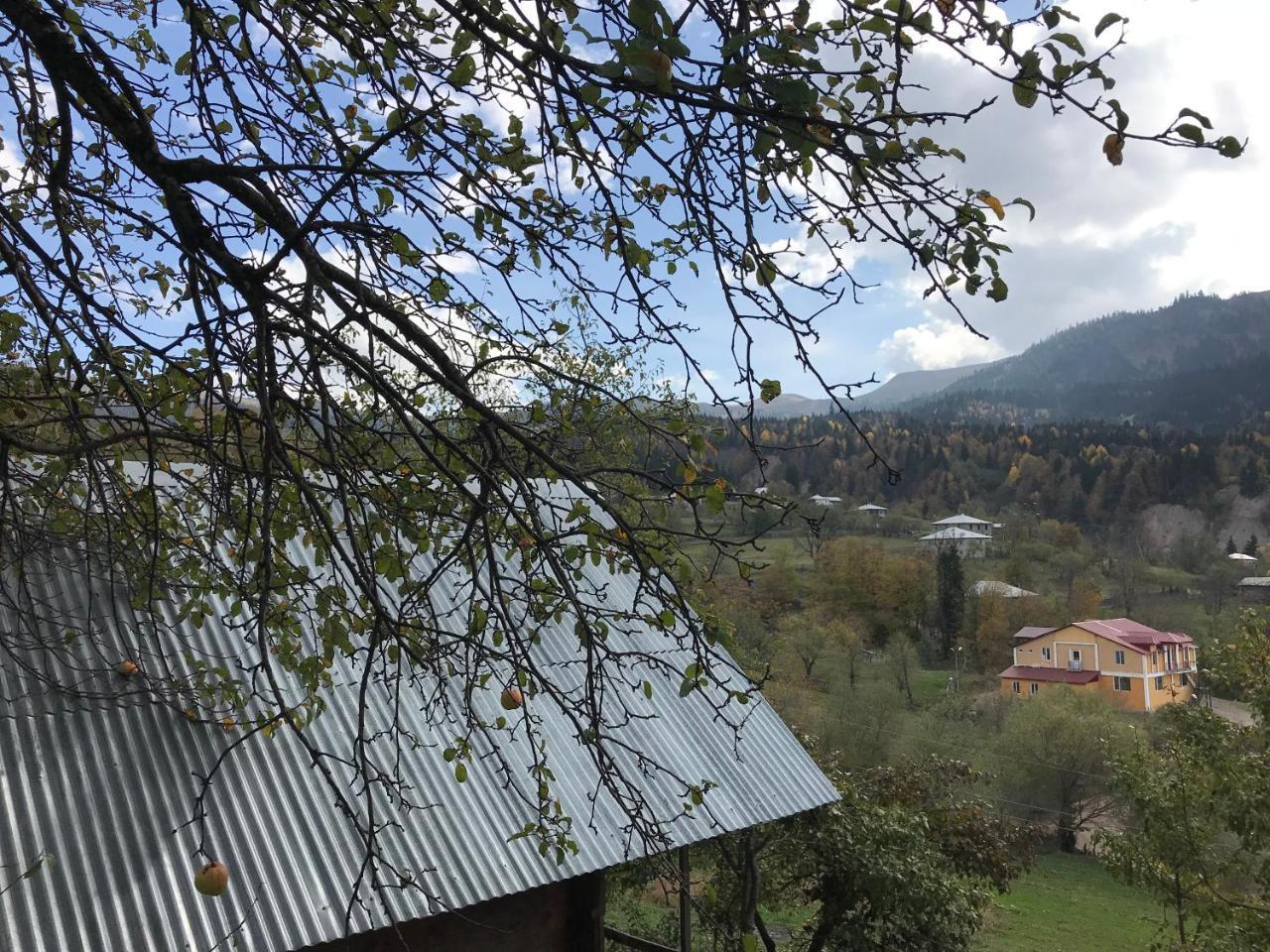 Гостевой дом Luka Danisparauli Экстерьер фото